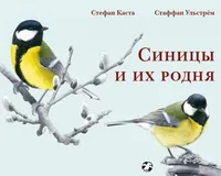 Стефан Каста: Синицы и их родня