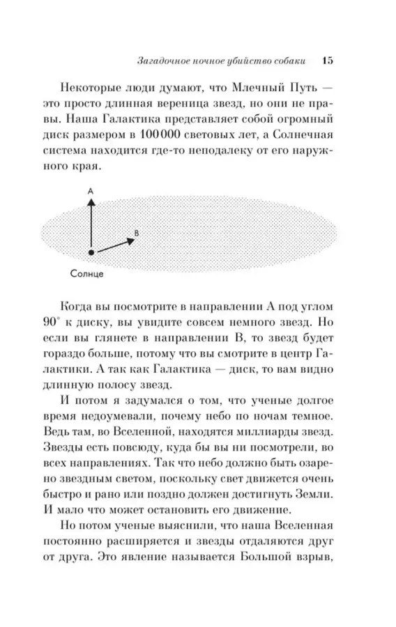 Загадочное ночное убийство собаки