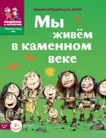 Мы живём в каменном веке