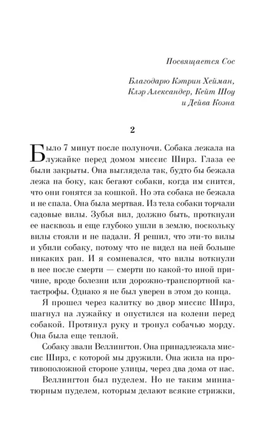 Загадочное ночное убийство собаки