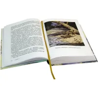 Вверх по Причуди и обратно. Вниз по Причуди (Комплект из 2 книг)