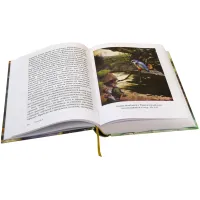 Вверх по Причуди и обратно. Вниз по Причуди (Комплект из 2 книг)