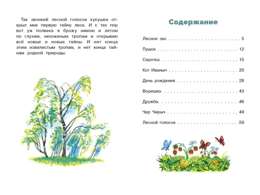 Лесной голосок. Библиотека школьника