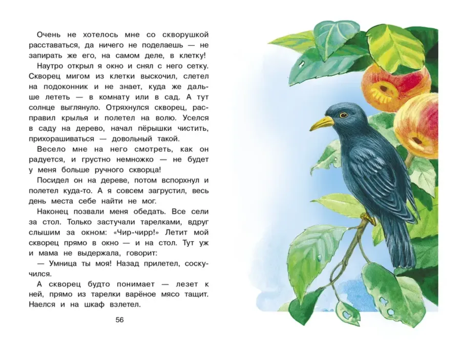 Лесной голосок. Библиотека школьника