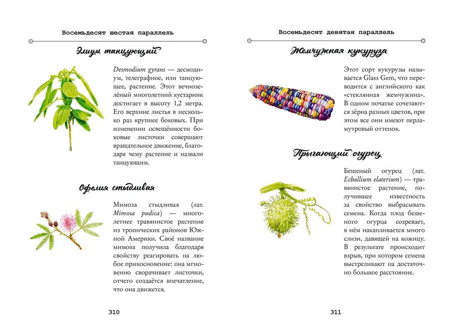 Странник Тим, или Детективное агентство "Агата"